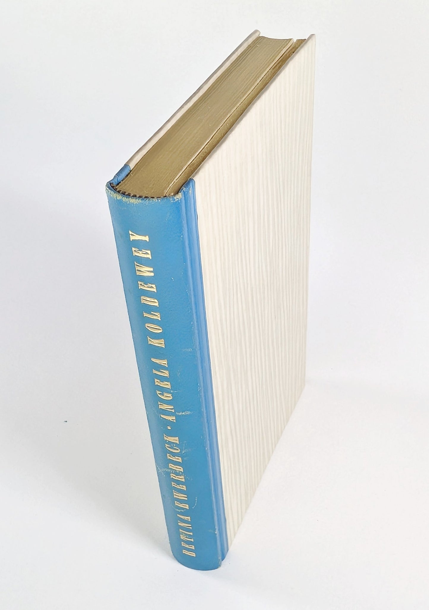Vintage Hollow Book Safe