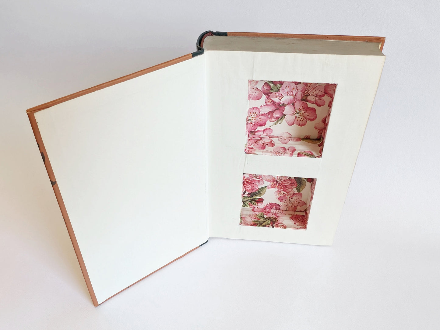 Vintage Hollow Book Safe