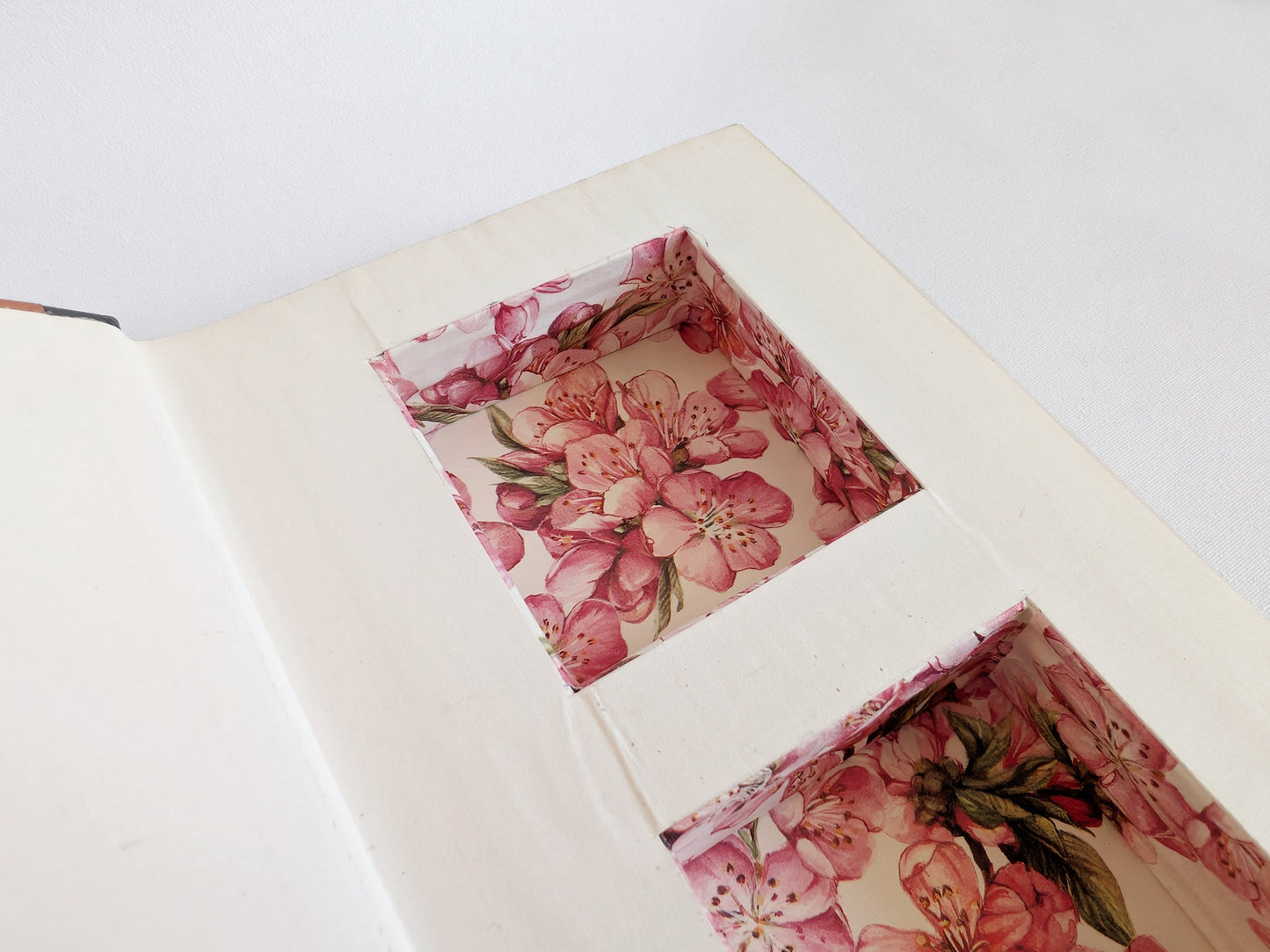 Vintage Hollow Book Safe